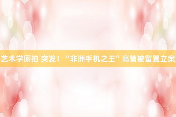 艺术学厕拍 突发！“非洲手机之王”高管被留置立案