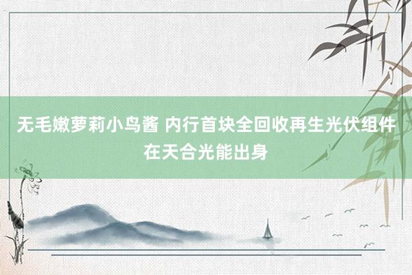 无毛嫩萝莉小鸟酱 内行首块全回收再生光伏组件在天合光能出身