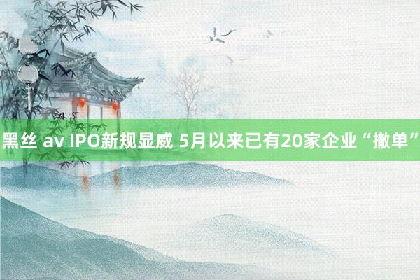 黑丝 av IPO新规显威 5月以来已有20家企业“撤单”