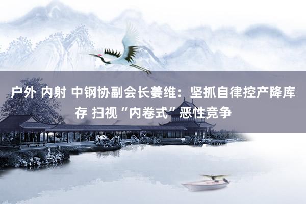 户外 内射 中钢协副会长姜维：坚抓自律控产降库存 扫视“内卷式”恶性竞争