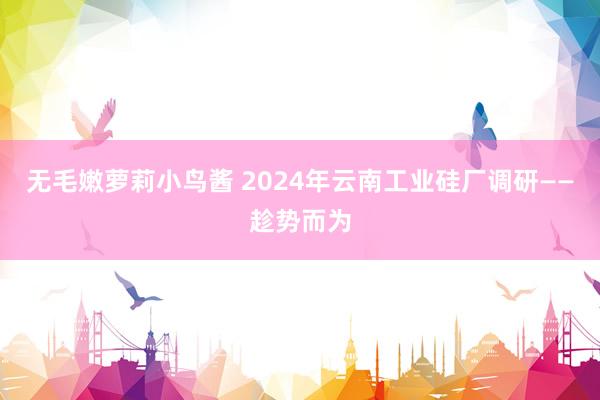 无毛嫩萝莉小鸟酱 2024年云南工业硅厂调研——趁势而为