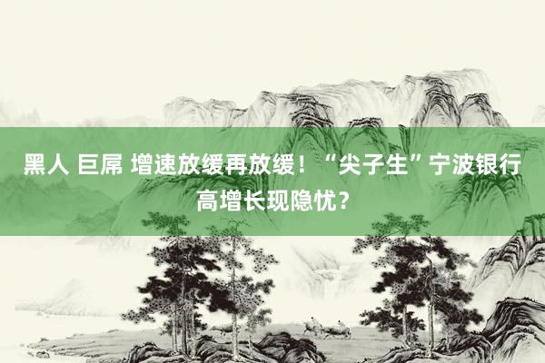 黑人 巨屌 增速放缓再放缓！“尖子生”宁波银行高增长现隐忧？