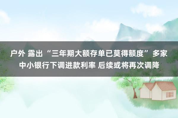 户外 露出 “三年期大额存单已莫得额度” 多家中小银行下调进款利率 后续或将再次调降