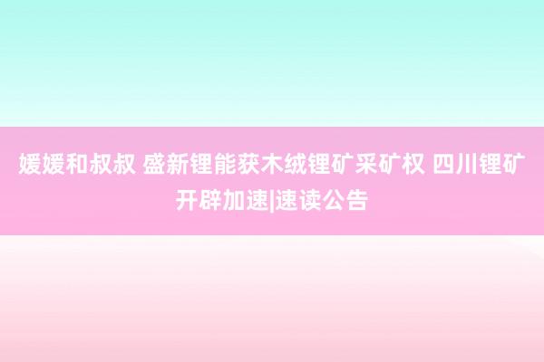 媛媛和叔叔 盛新锂能获木绒锂矿采矿权 四川锂矿开辟加速|速读公告