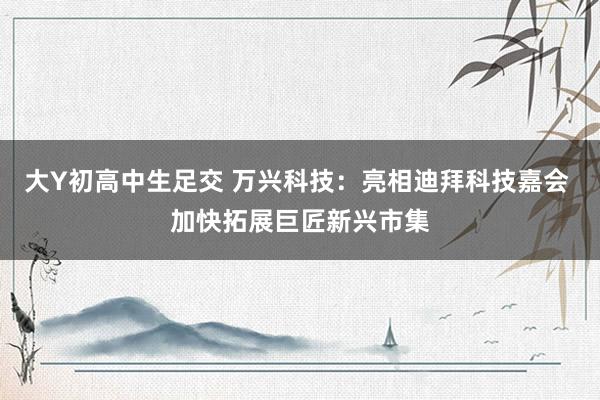 大Y初高中生足交 万兴科技：亮相迪拜科技嘉会 加快拓展巨匠新兴市集