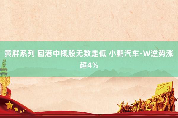 黄胖系列 回港中概股无数走低 小鹏汽车-W逆势涨超4%