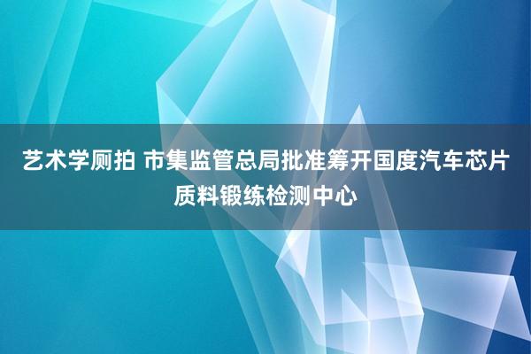 艺术学厕拍 市集监管总局批准筹开国度汽车芯片质料锻练检测中心