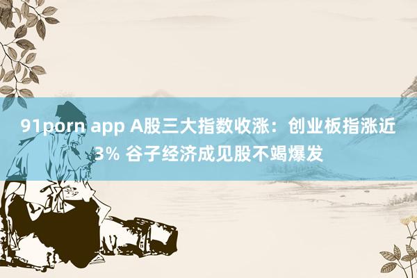 91porn app A股三大指数收涨：创业板指涨近3% 谷子经济成见股不竭爆发
