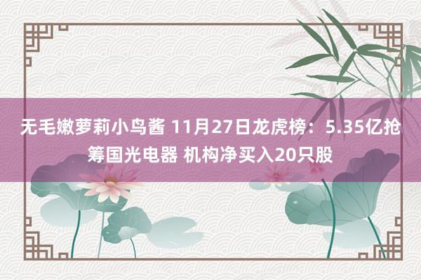 无毛嫩萝莉小鸟酱 11月27日龙虎榜：5.35亿抢筹国光电器 机构净买入20只股