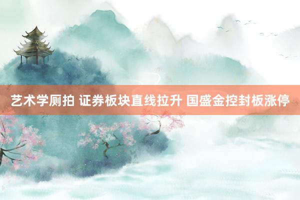 艺术学厕拍 证券板块直线拉升 国盛金控封板涨停