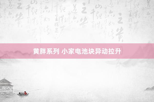 黄胖系列 小家电池块异动拉升