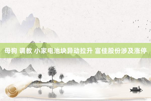 母狗 调教 小家电池块异动拉升 富佳股份涉及涨停