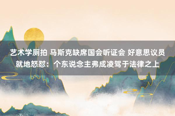 艺术学厕拍 马斯克缺席国会听证会 好意思议员就地怒怼：个东说念主弗成凌驾于法律之上