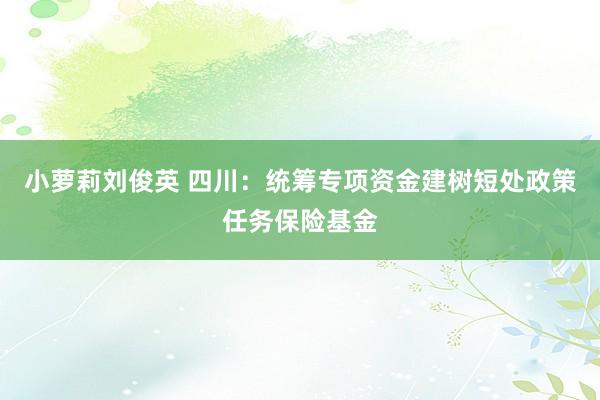 小萝莉刘俊英 四川：统筹专项资金建树短处政策任务保险基金