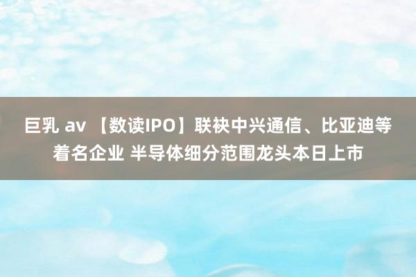 巨乳 av 【数读IPO】联袂中兴通信、比亚迪等着名企业 半导体细分范围龙头本日上市