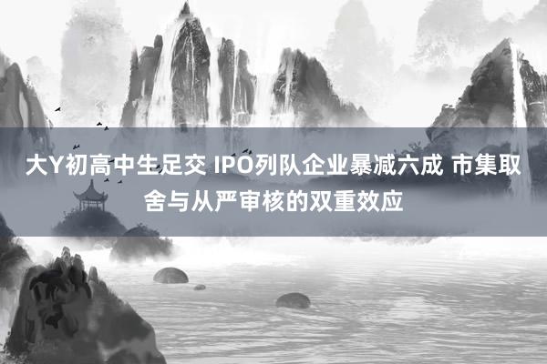 大Y初高中生足交 IPO列队企业暴减六成 市集取舍与从严审核的双重效应